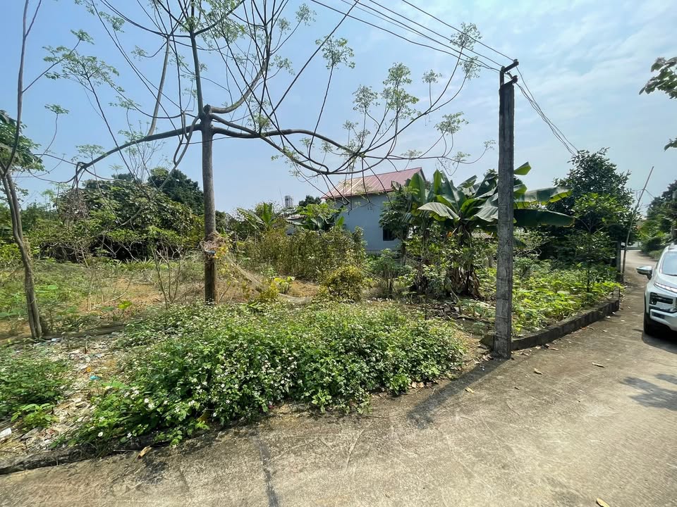 Đất nền Quốc Oai 455m² giá 4.55 tỷ - Tiềm năng tăng giá vượt trội!