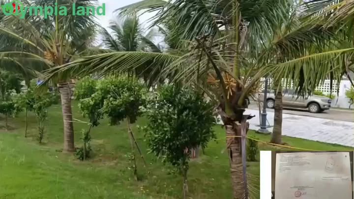 Đất Biển Quảng Thái, Thanh Hóa - 500m², Mặt Tiền 16m, Lô 2 Kinh Doanh Hấp Dẫn