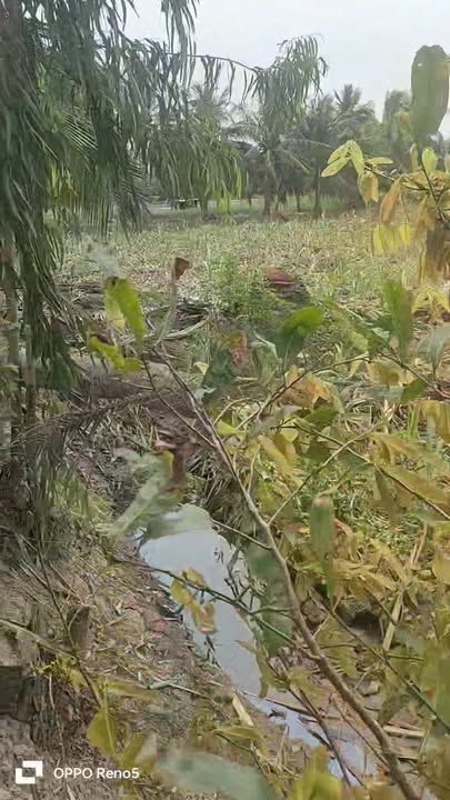 Bán Gấp 36.000m² Đất Rẫy Thạnh An, Cần Thơ - Giá Tốt