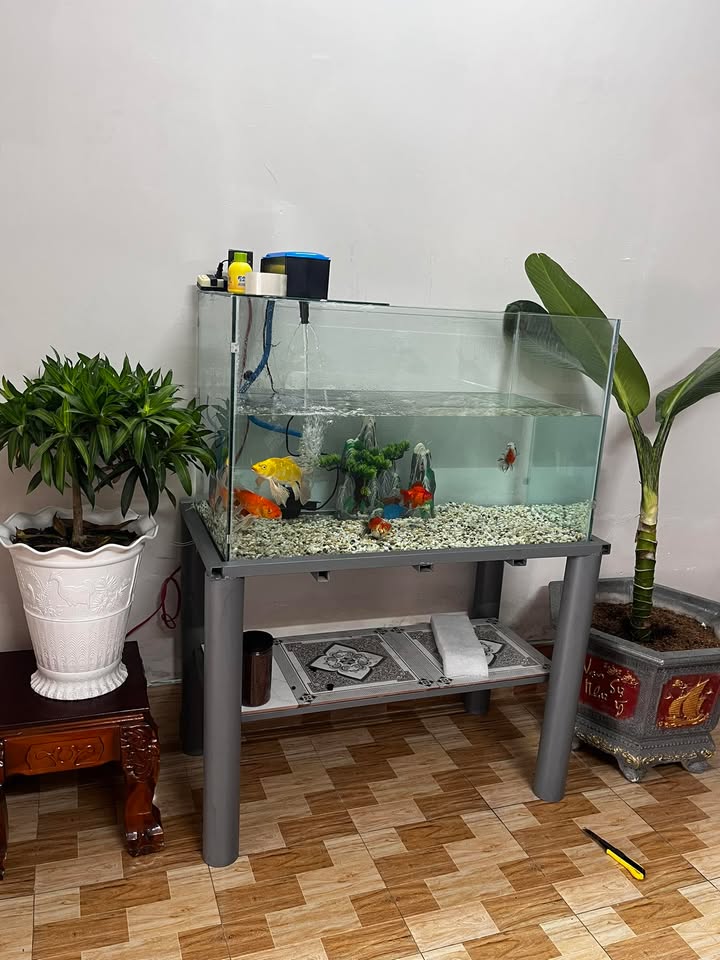 Nhà 4x16m - 2PN - Cầu Suối, Long Hồ - Giá 3 Triệu/Tháng