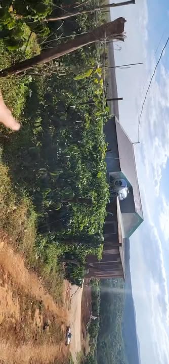 Đất Farm Xã Gào Pleiku 2.4ha giá 6 tỷ - Đầu tư dài hạn sinh lời!