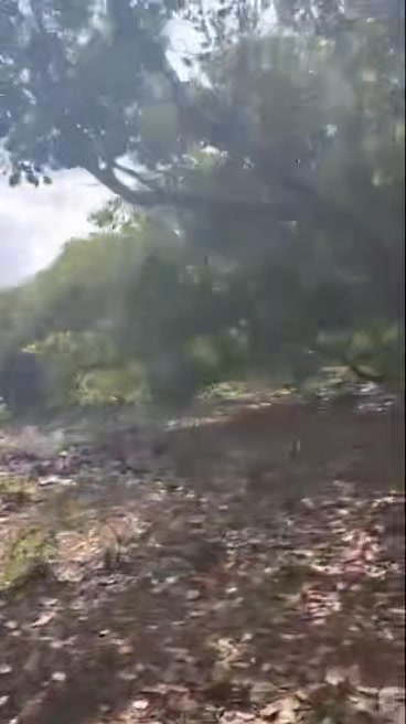 Đất vườn Ia Dom, Đức Cơ 4ha chỉ 750 triệu - Giá đầu tư tốt!