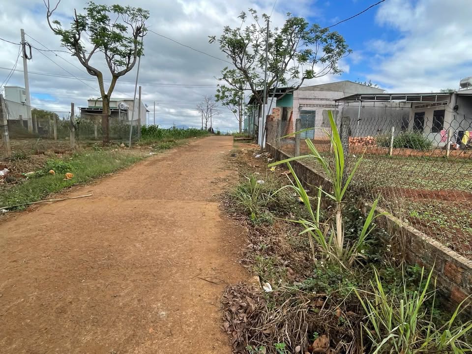 Bán Đất Nền Hẻm Bùi Viện Pleiku 125m² - Sổ Đỏ 50m Thổ Cư