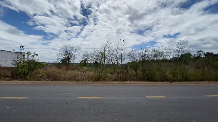 Đất vườn 2ha Chư Sê, Gia Lai 2.8 tỷ - Đầu tư dài hạn!