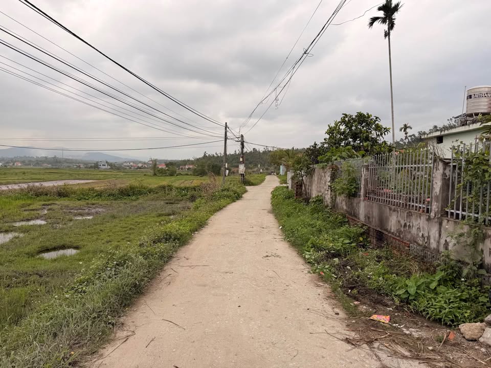 Đất nền Yên Mỹ, Lạc Thủy - 100m², mặt tiền rộng, ô tô vào đất