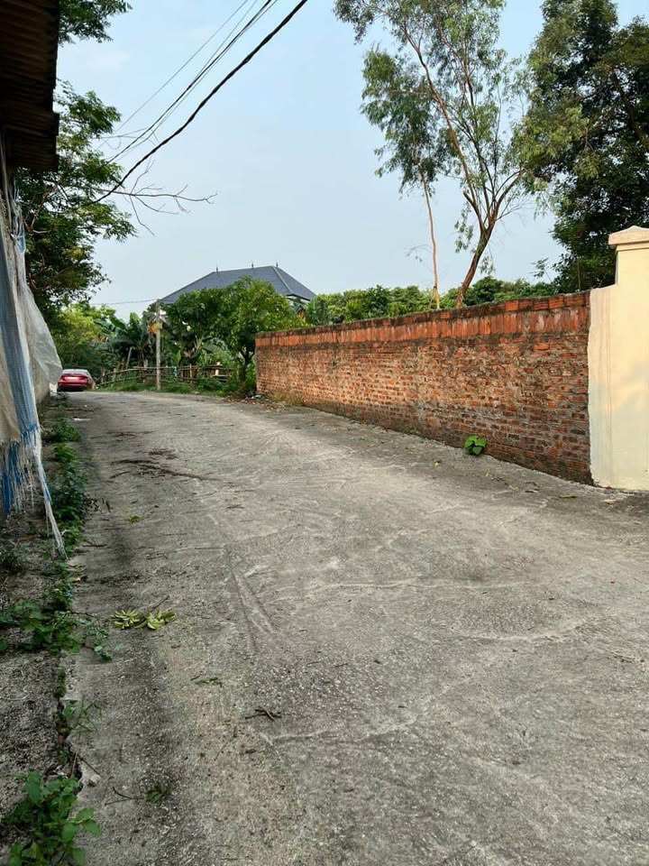 Đất nền 188m² Thôn 9 Tam Dương - Sổ Đỏ Thổ Cư, Nở Hậu Đẹp