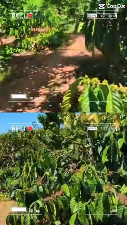 Đất vườn Hra Gia Lai 2,3ha giá 3,4 tỷ - Đầu tư dài hạn