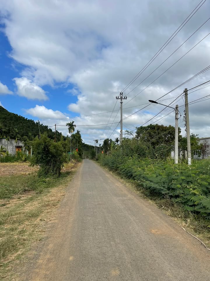 Đất thổ cư 1395m² Krông Bông - Sổ hồng sẵn, giá 44.6 tỷ