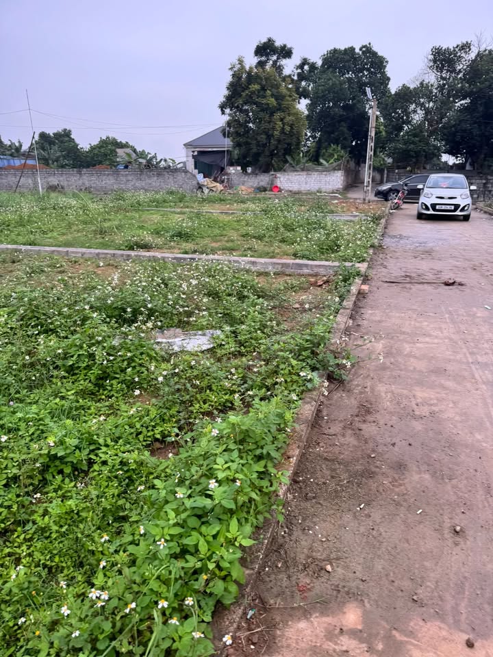 Đất Nền Hoà Thạch 373m² - Sổ Đỏ Full Thổ Cư, Giá Đầu Tư Tốt