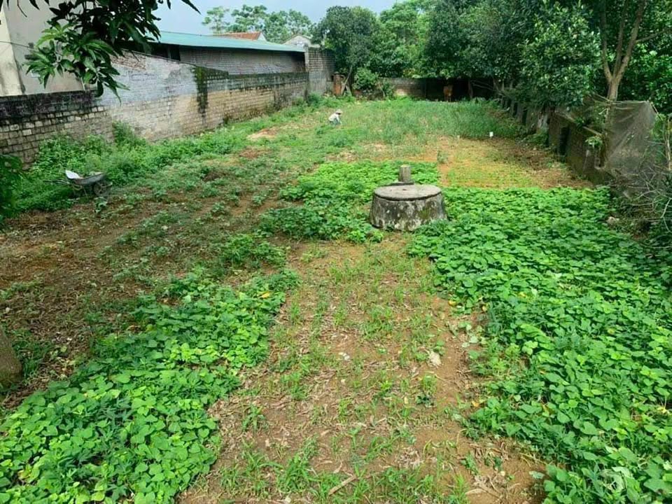 Đất Vàng Chương Mỹ 534m² - Sổ Đỏ Rõ Ràng, Gần TT Xuân Mai