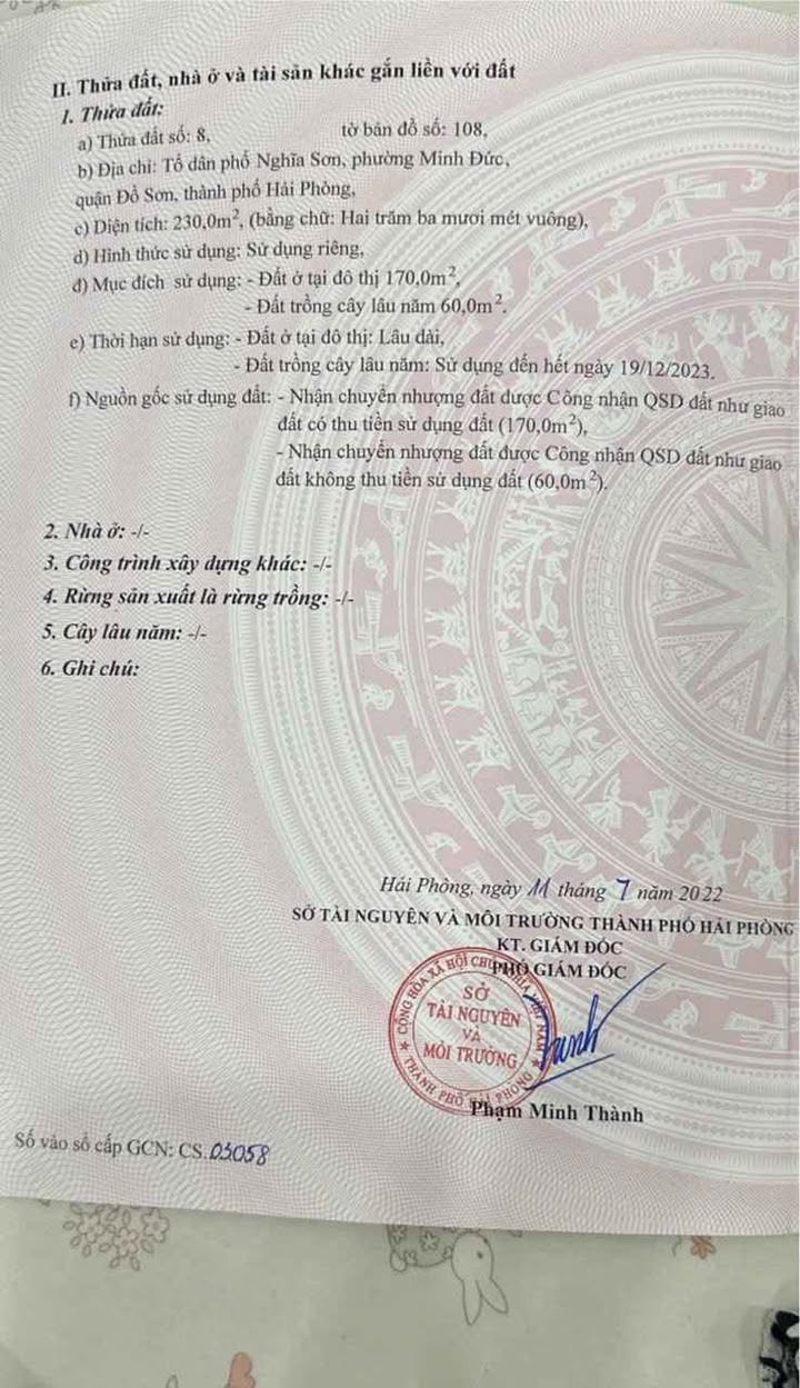 Đất Đồ Sơn Minh Đức 230m² 1 triệu/m² - Sổ đỏ chính chủ