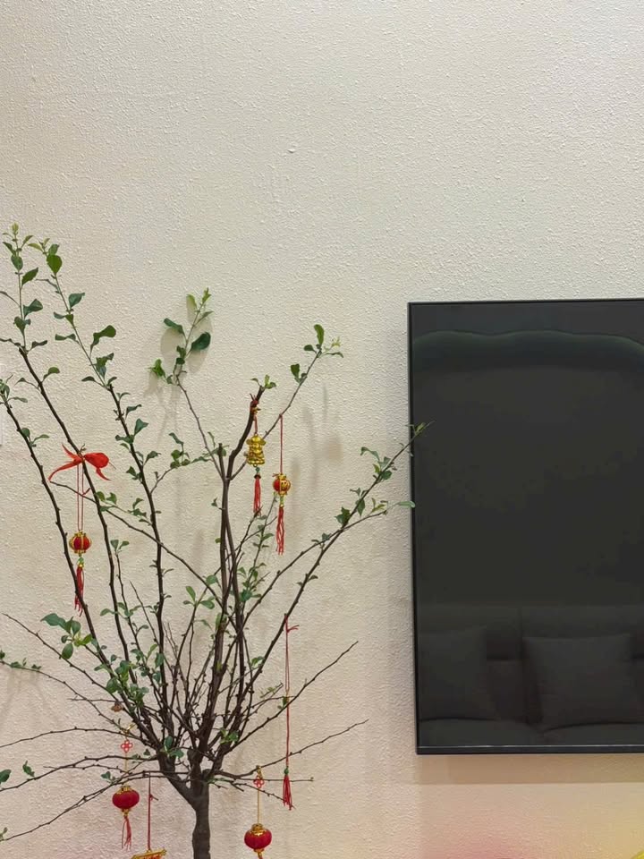 Nhà 54m² Trần Cao Vân, Thanh Khê - Ngang 7m Hiếm Có, 3.45 Tỷ