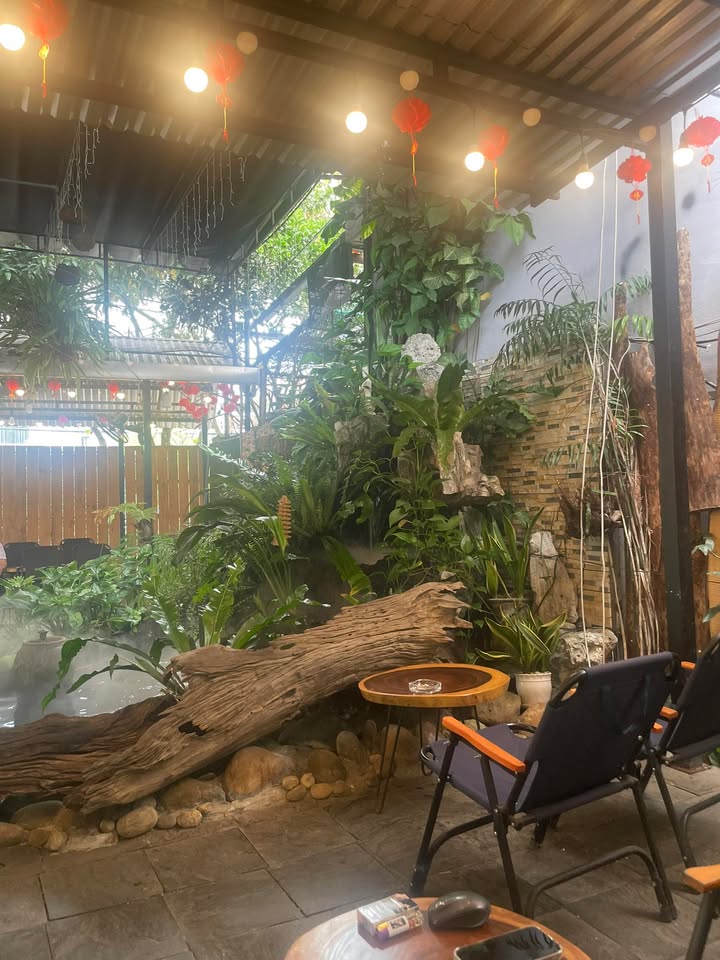 Đất Mặt Tiền Thành Thái 100m² - Tặng Bản Vẽ Nhà 6 Tầng Kinh Doanh Đắc Lợi