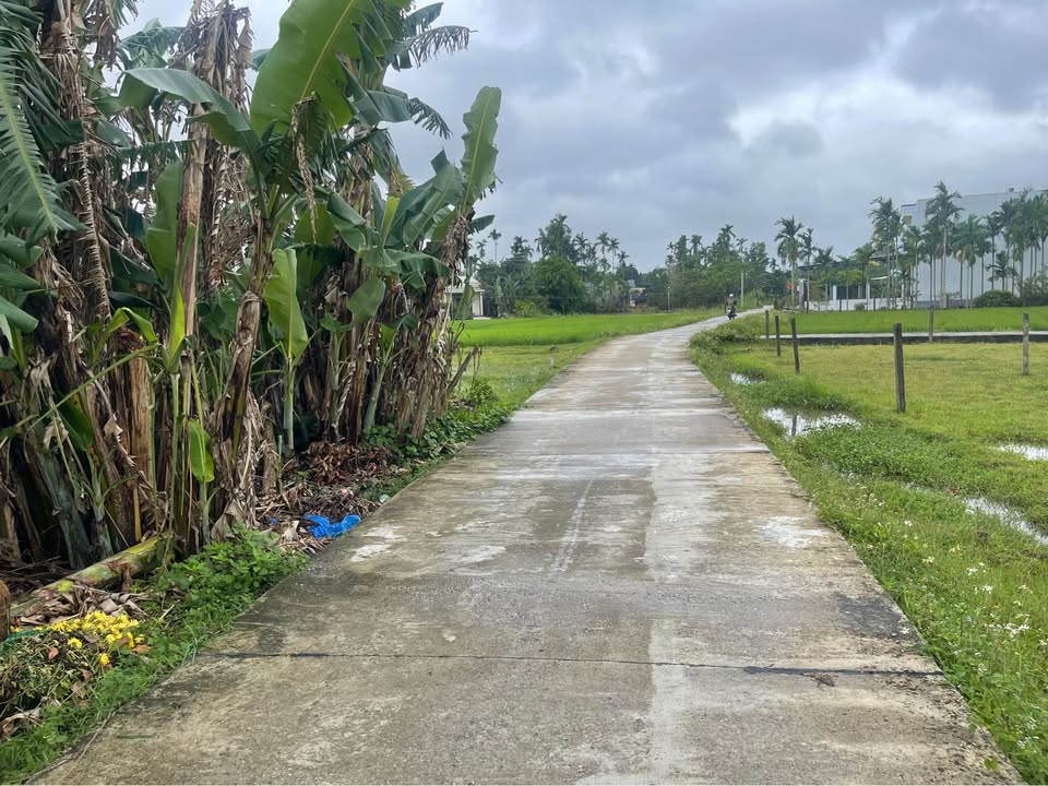 Đất Nền Tam Xuân 1 - 100m² Sổ Đỏ, Giá Chỉ 5xx Triệu