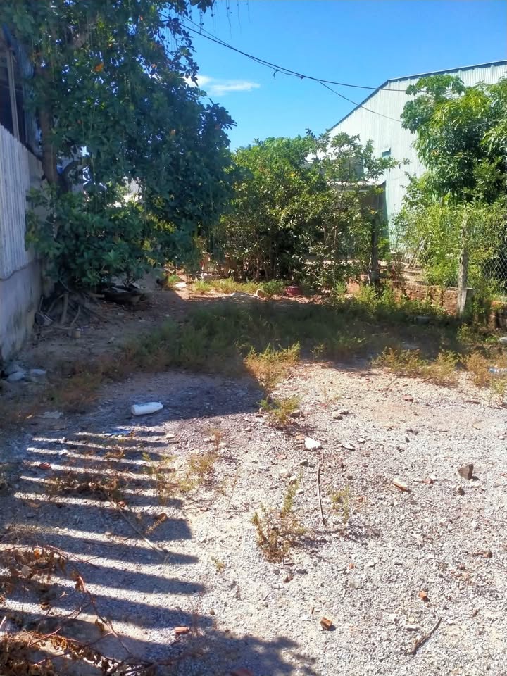 Đất nền Tam Kỳ 179.1m² giá 3 tỷ - Đường to ô tô, kinh doanh đỉnh!