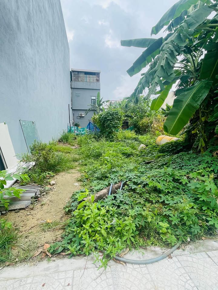 Đất nền Trần Viện Hòa Xuân 120m² - Đường to ô tô, xây dựng tự do!