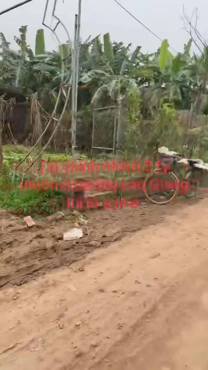 Đất nền Bình Minh Khoái Châu 50m² giá 2 tỷ - Sổ đỏ chính chủ