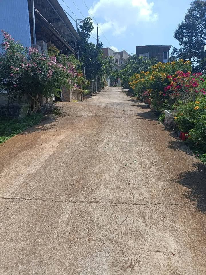 Đất nền Hẻm 191 Lý Thái Tổ Bảo Lộc 159m² - Sổ đỏ chính chủ!