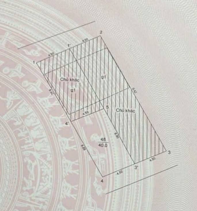 Nhà riêng Tứ Liên Tây Hồ 40m² - Vị trí đẹp, nở hậu hiếm có!