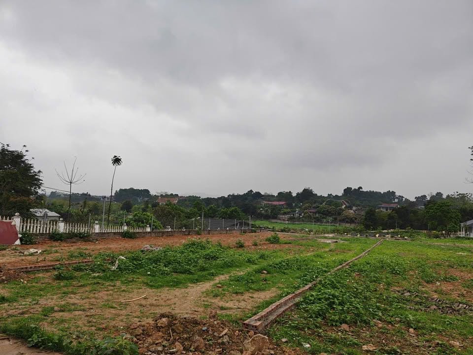 Đất nền Ba Vì 298m² - Lô góc 2 mặt tiền, view đồng lúa, giá hơn 1 tỷ