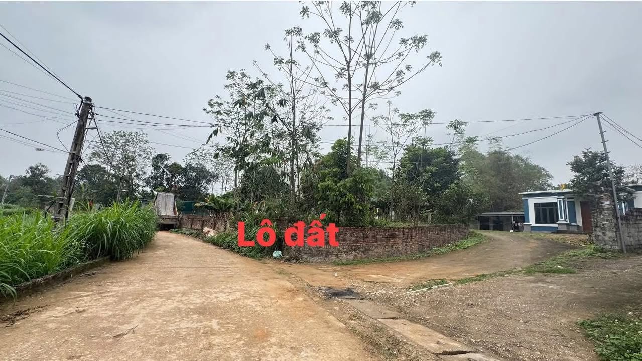 Đất nền A Mỹ Lập Thạch 150m² 8xx tr - Sổ đỏ chính chủ