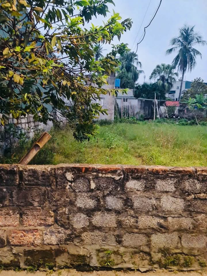 Đất nền Đông Hải, TP Thanh Hóa 109m² - Tiềm năng tăng giá vượt trội!