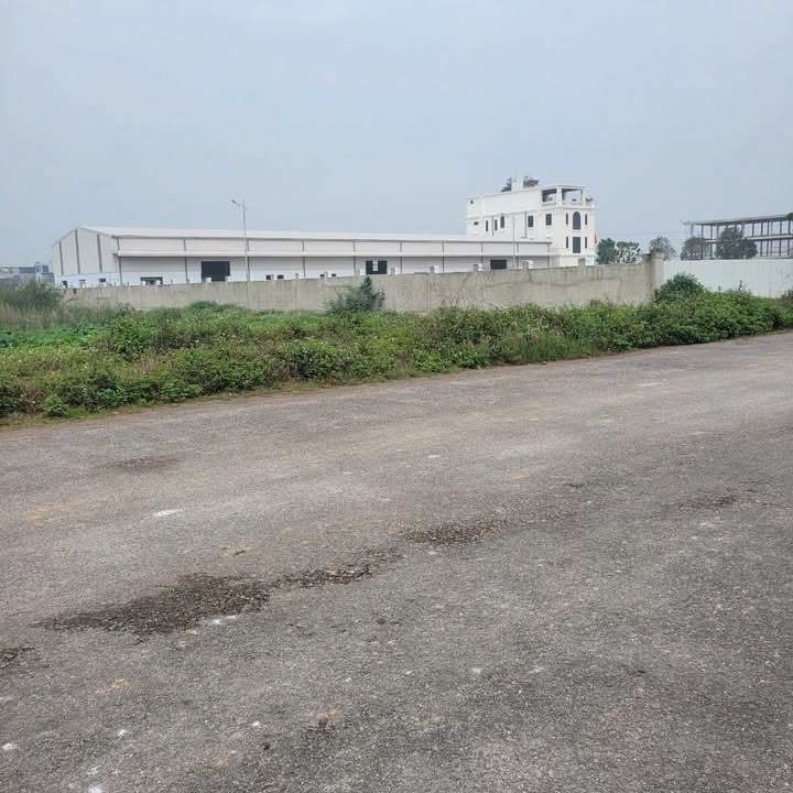 Đất nền BT Bình Minh 270m² Thanh Hóa - Xây dựng tự do!