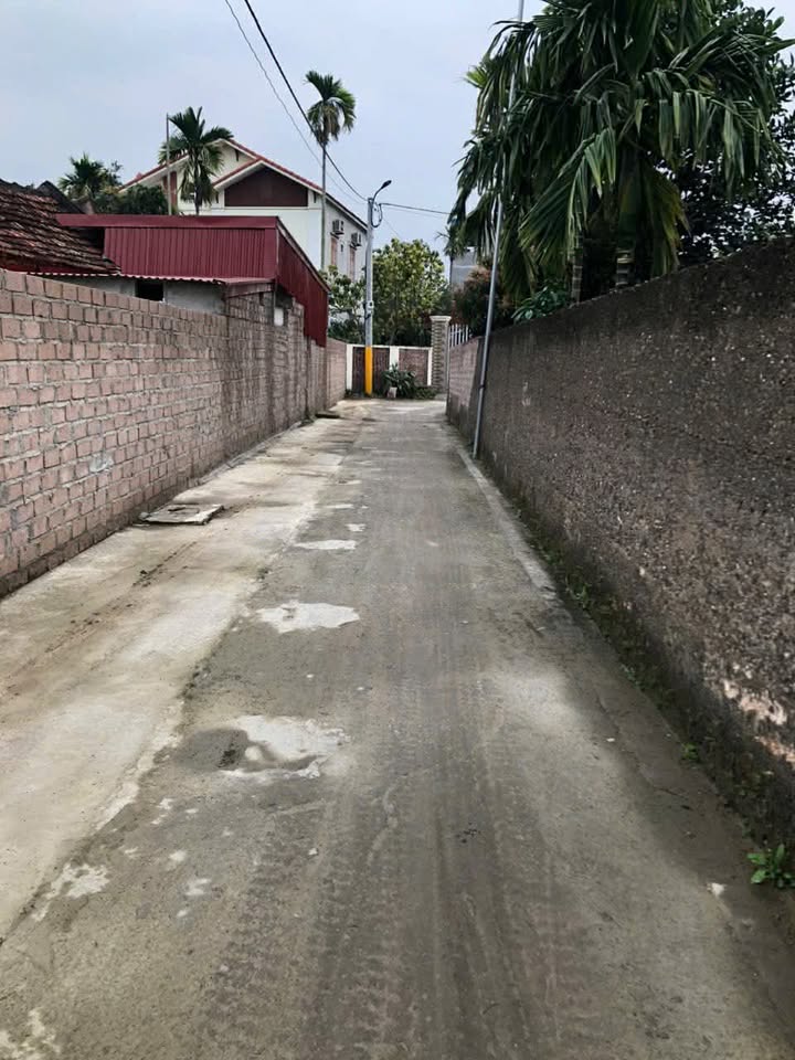 Đất Nền Thủy Nguyên 126.7m² - Sổ Hồng Riêng, Gần KCN Tiềm Năng Đầu Tư