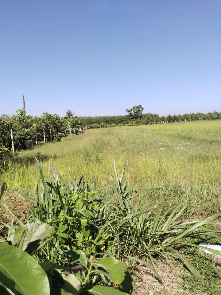 Đất Vườn 504m² Phường Ninh Thạnh, Tây Ninh - Giá Tốt 468 Triệu