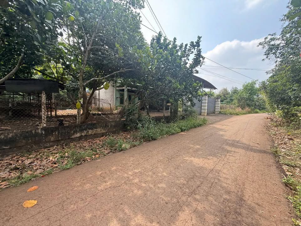 Đất nền Bình Lộc Long Khánh 102m² 550 triệu - Sổ đỏ chính chủ