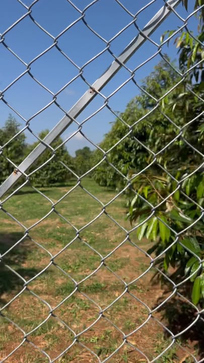 Đất vườn Bảo Bình 4000m² - Đầu tư dài hạn!