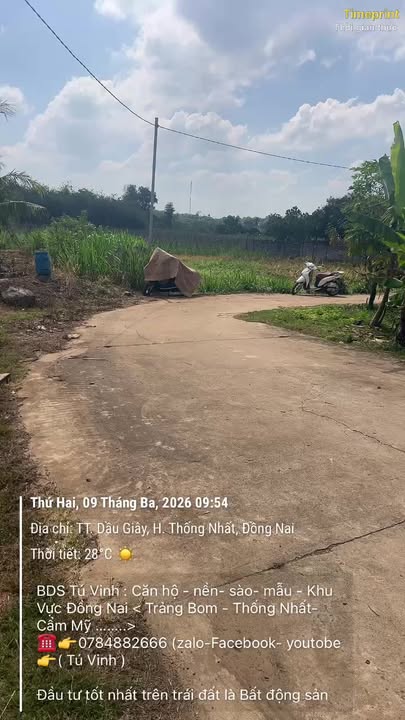 Đất Vườn 2000m² Sổ Riêng Xã Lộ 25, Đồng Nai - Giá 2 Tỷ