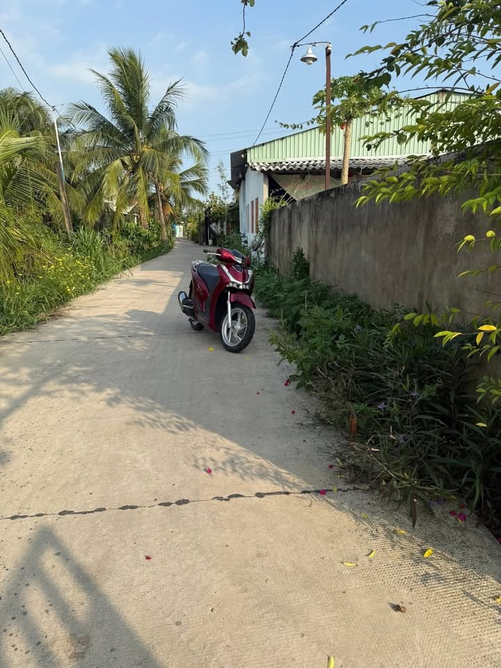 Đất nền Khánh Hậu, Tân An 125m² - Tiềm năng tăng giá vượt trội!