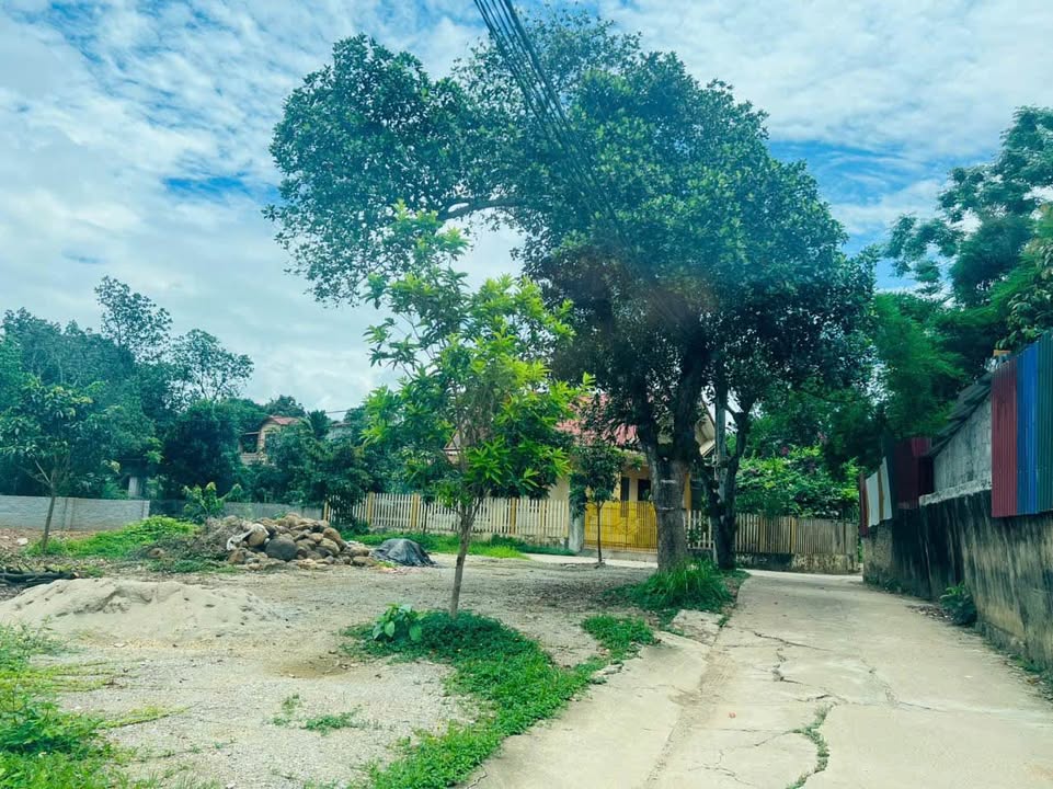 Đất nền Gia Sàng Thái Nguyên 175m² 2 tỷ - Đường to ô tô