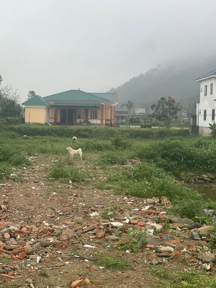 Đất nền Nghi Lộc, Nghệ An 300m² - Tiềm năng tăng giá vượt trội!