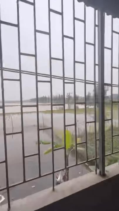 Mặt Tiền Đường Tỉnh 490 - 300m² Kinh Doanh Đa Ngành, Ninh Bình