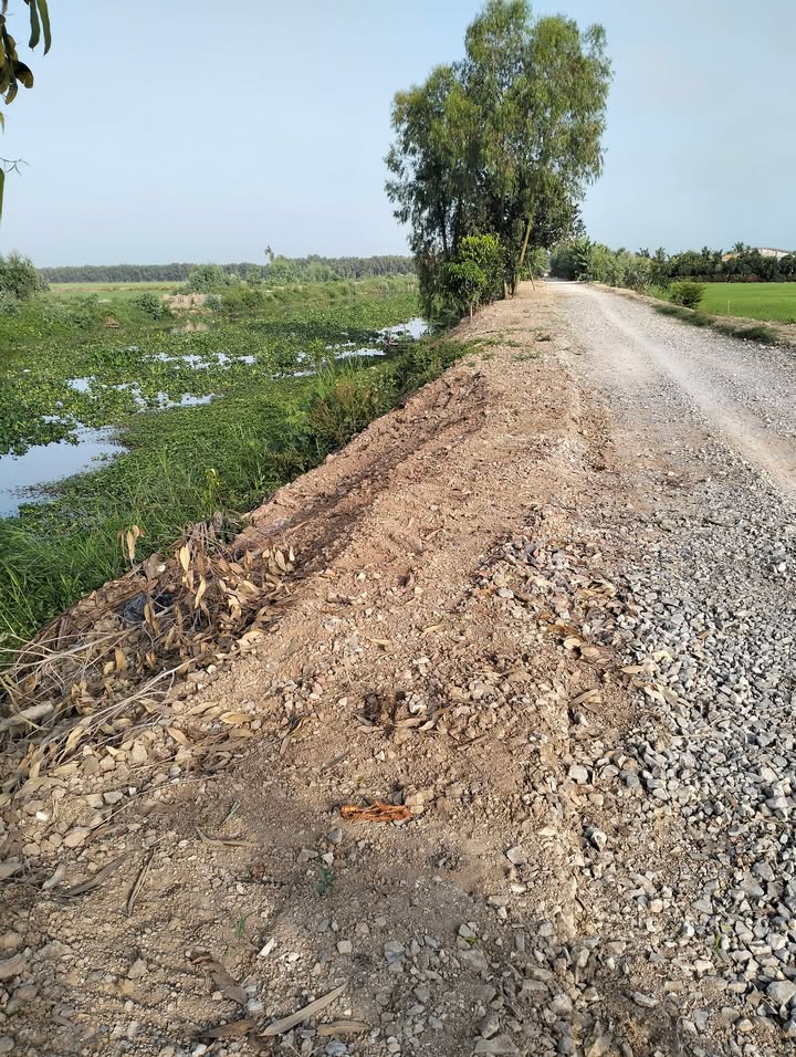 Đất Vườn Đồng Tháp 30.000m² - Mặt Tiền Sông Lớn, Lộ Nhựa Xe Hơi