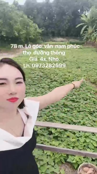 Đất nền Vân Nam, Phúc Thọ 78m² - Tiềm năng tăng giá vượt trội!