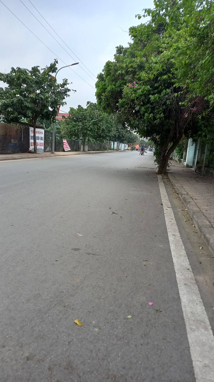 Đất nền Đồng Tháp Đan Phượng 147m² Sổ đỏ chính chủ