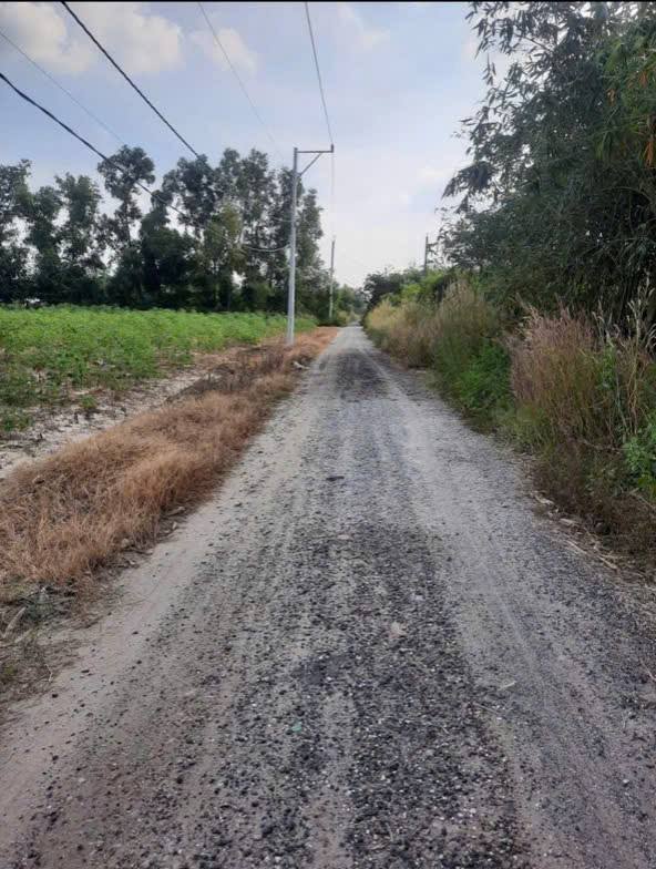 Đất nền Thới Hòa Bến Cát 414m² - Sổ đỏ chính chủ