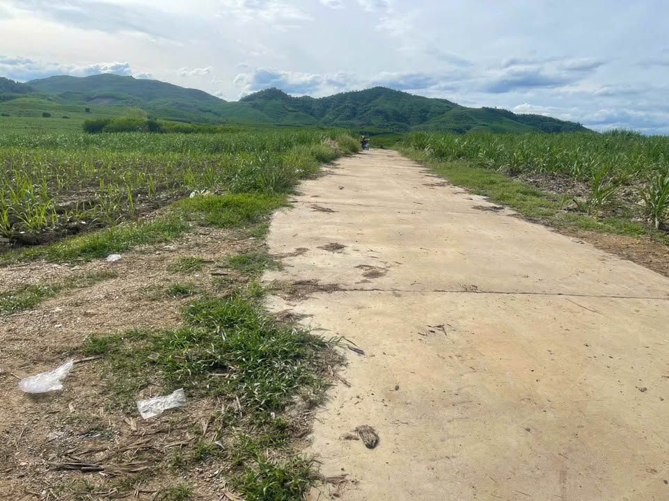 Bán 12.000m² Đất Cây Hàng Năm Thôn 4 Diên Đồng, Diên Khánh - Giá Đầu Tư 2.4 Tỷ