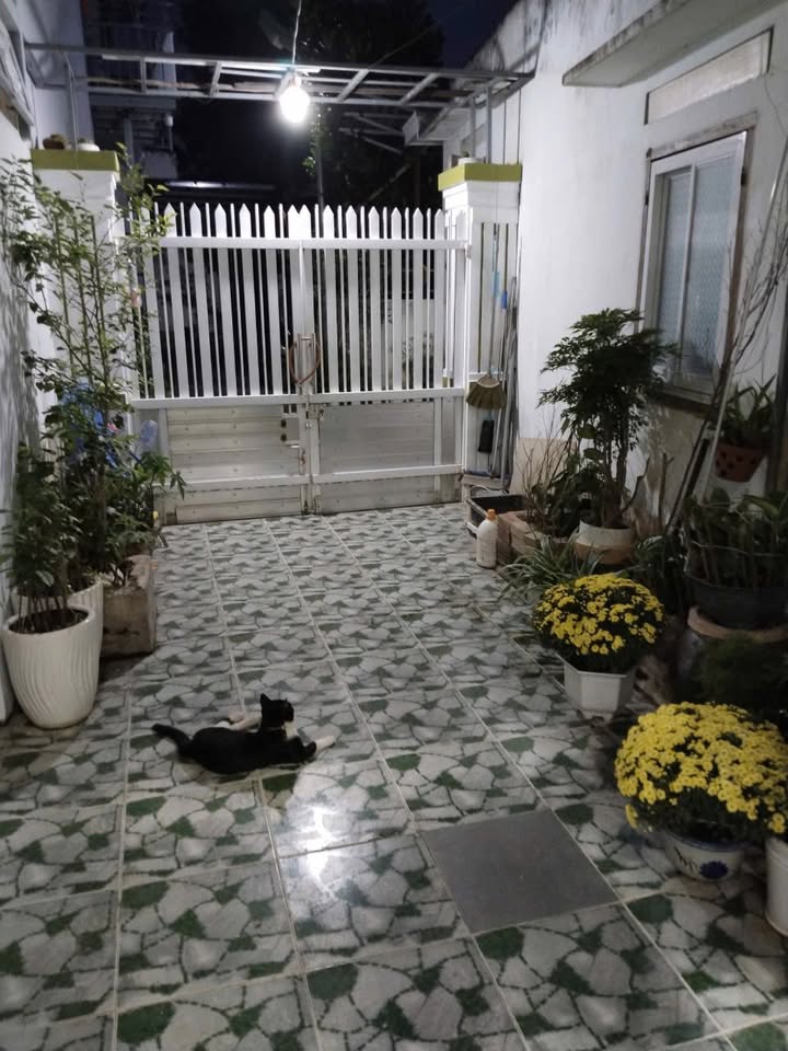 Bán Nhà Cấp 4 Vĩnh Châu, Nha Trang - 124.9m² Giá 3.5 Tỷ, Sẵn Sàng Ở Ngay