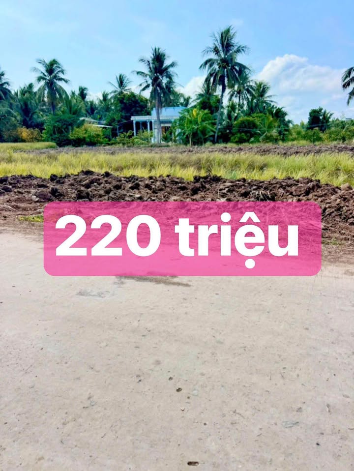 Đất nền Tân Phú Đông 180m² 220 triệu - Sổ đỏ chính chủ!