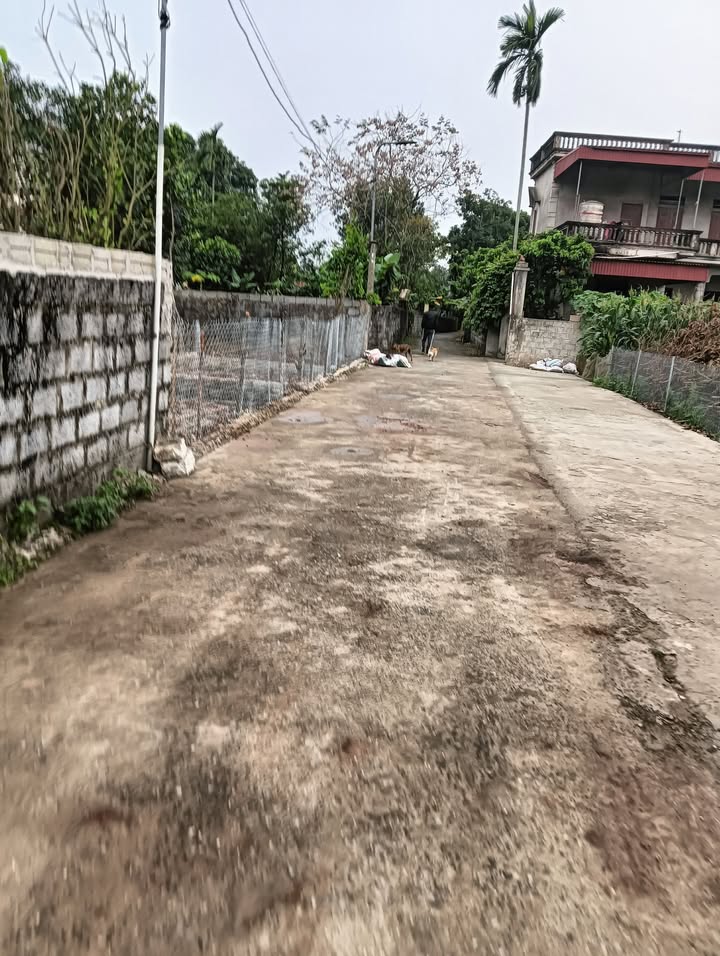 Bán Đất Chính Lý, Hà Nam 139m² - Sổ Đỏ Vuông Vắn, Ô Tô Đỗ Cửa