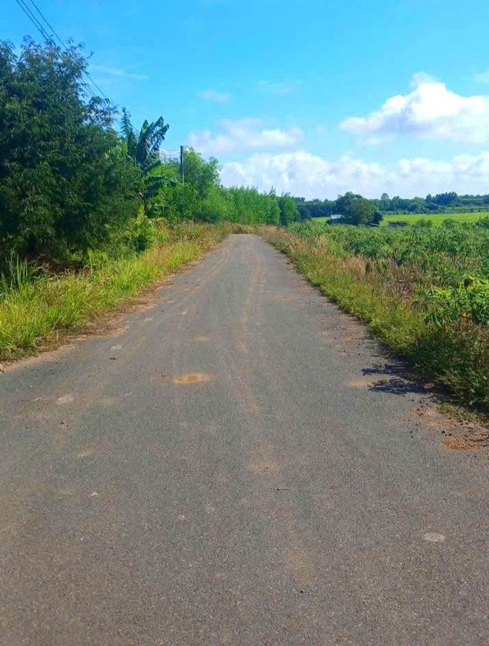 Đất nền Xã Tân Lâm, Xuyên Mộc 360m² giá 625 triệu - Đường to ô tô