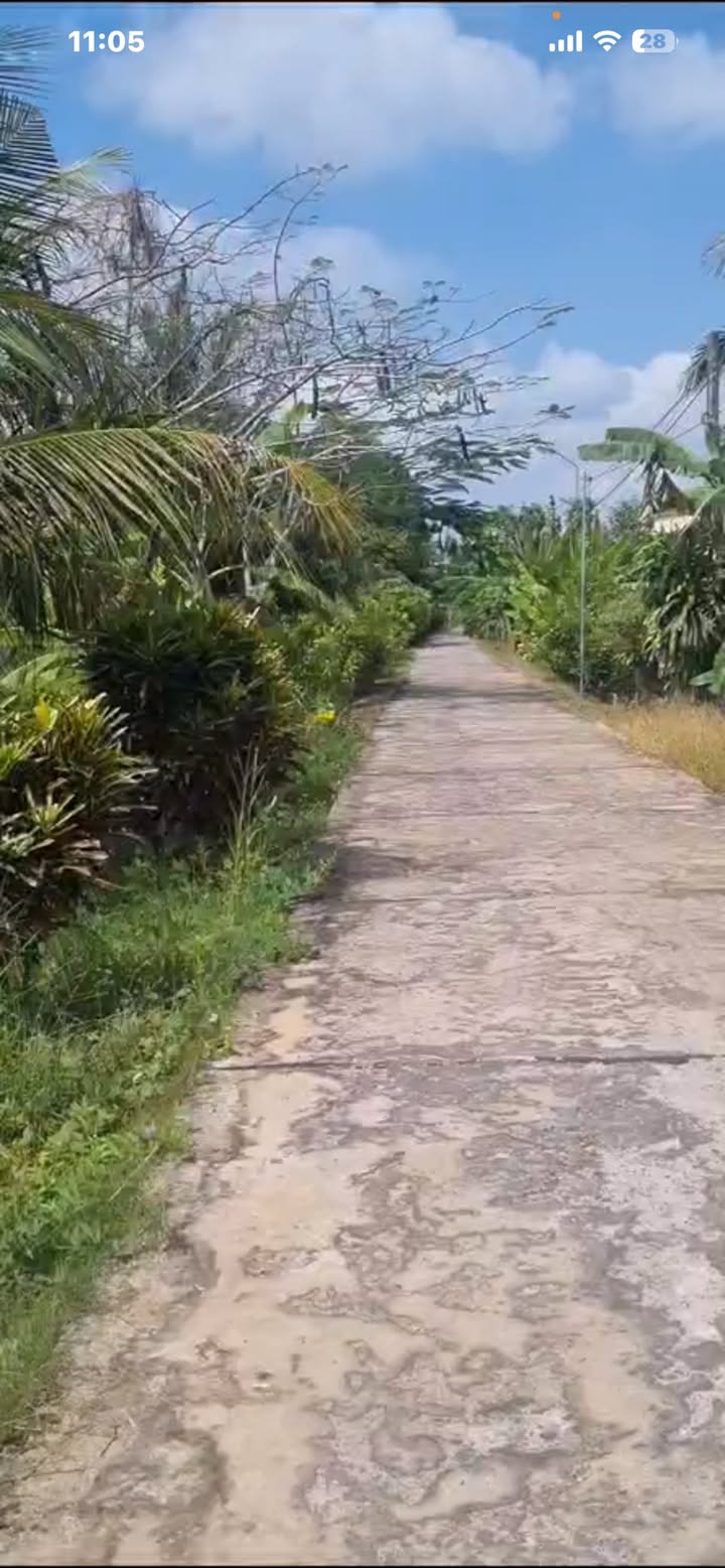 Bán Đất Vườn 3600m² Mặt Tiền Sông Huyện Lộ 60 Cai Lậy - Giá 2 Tỷ