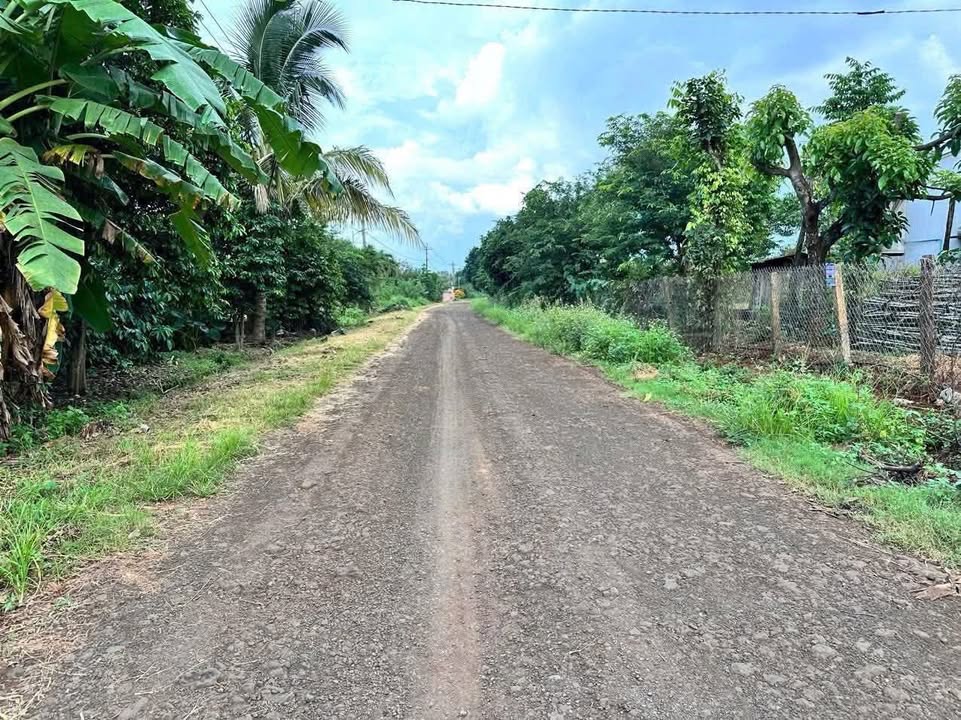 Đất nền Cư Suê Đắk Lắk 160m² - Đất thổ cư 100%!