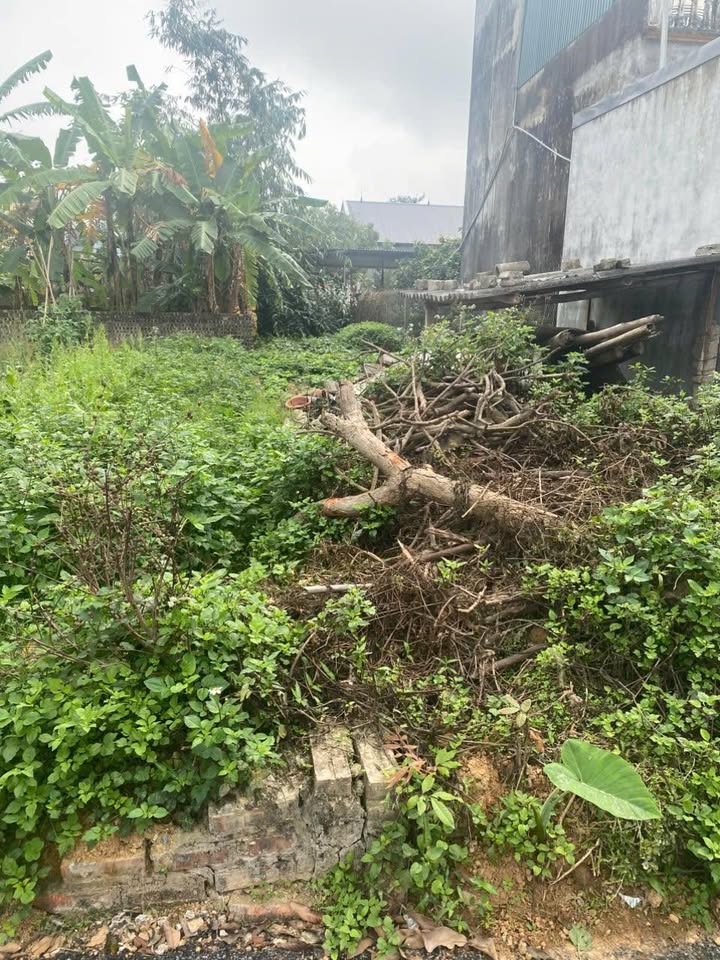 Đất nền Đồng Xuân, Phúc Yên 103m² - Tiềm năng tăng giá vượt trội!