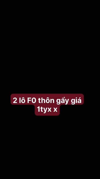 Đất nền Vĩnh Yên F0 - Hơn 1 tỷ/lô, gần BV Quốc tế E, ô tô vào tận nơi