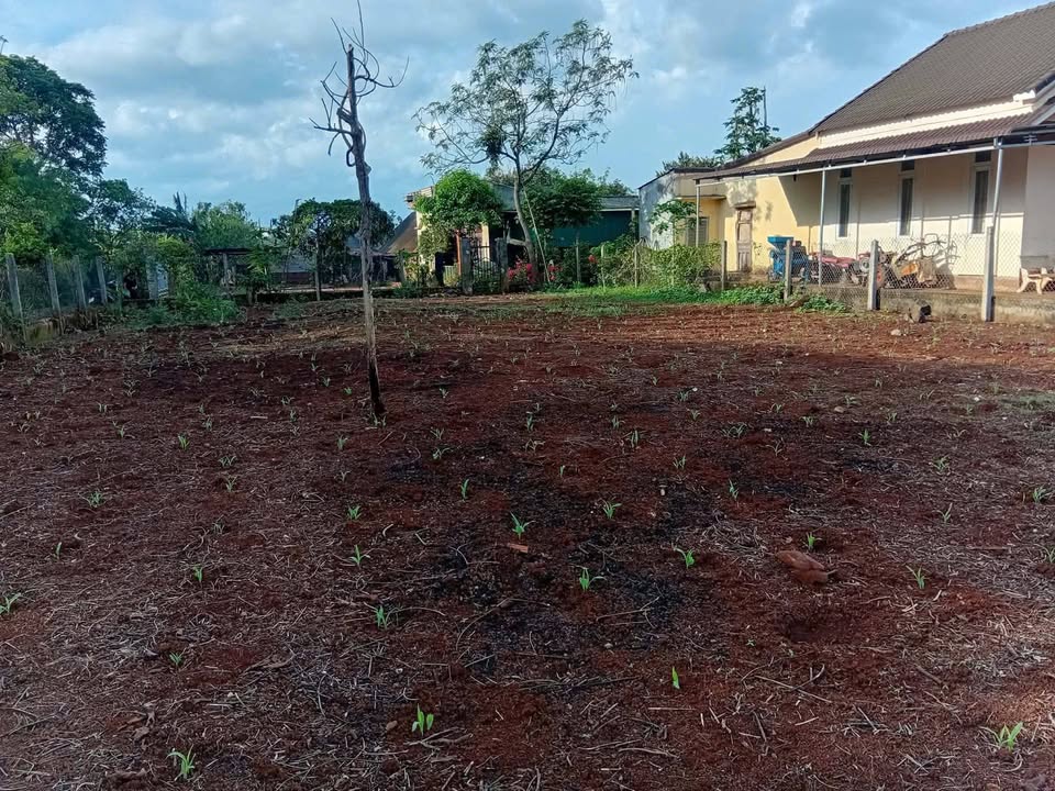 Đất nền 434m² 2 mặt tiền Nơ Trang Long, Buôn Hồ - Giá tốt đầu tư